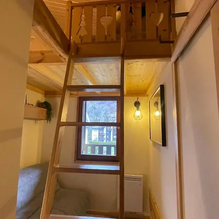 아파트 Chaleureux Avec Balcons Au Coeur De Samoens, Proche Ski-bus - Fr-1-624-147