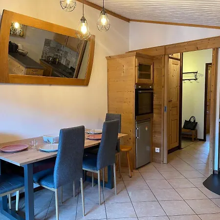 Chaleureux Avec Balcons Au Coeur De Samoens, Proche Ski-bus - Fr-1-624-147 *